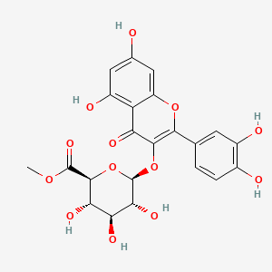 molecular formula C22H20O13 B12374938 methyl (2S,3S,4S,5R,6S)-6-[2-(3,4-dihydroxyphenyl)-5,7-dihydroxy-4-oxochromen-3-yl]oxy-3,4,5-trihydroxyoxane-2-carboxylate CAS No. 79543-28-5