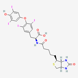 molecular formula C25H25I4N3O6S B12375707 Biotin-(L-Thyroxine) 