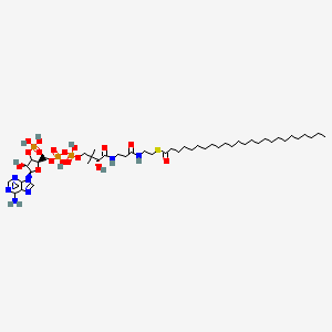 molecular formula C46H84N7O17P3S B12375901 Pentacosanoyl-CoA 