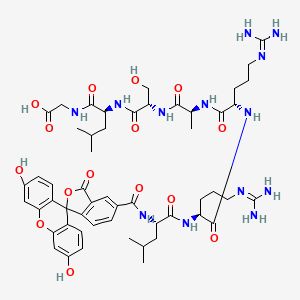 molecular formula C53H71N13O15 B12375923 Kemptide, 5-FAM labeled 