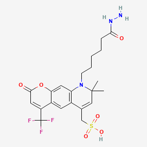 [9-(6-hydrazinyl-6-oxohexyl)-8,8-dimethyl-2-oxo-4-(trifluoromethyl)pyrano[3,2-g]quinolin-6-yl]methanesulfonic acid