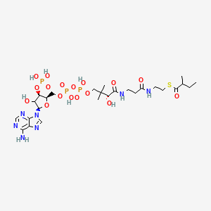 S-[2-[3-[[(2R)-4-[[[(2R,3R,5R)-5-(6-aminopurin-9-yl)-4-hydroxy-3-phosphonooxyoxolan-2-yl]methoxy-hydroxyphosphoryl]oxy-hydroxyphosphoryl]oxy-2-hydroxy-3,3-dimethylbutanoyl]amino]propanoylamino]ethyl] 2-methylbutanethioate