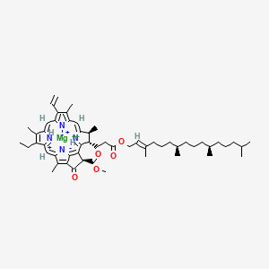 molecular formula C55H74MgN4O5+2 B1237651 [9-乙烯基-14-乙基-4,8,13,18-四甲基-20-氧代-3-{3-氧代-3-[(3,7,11,15-四甲基十六碳-2-烯-1-基)氧基]丙基}卟啉-21-甲酸盐(2-)-κ~4~N~23~,N~24~,N~25~,N~26~]甲基镁 