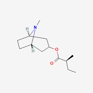 molecular formula C13H23NO2 B12376542 [(1S,5R)-8-methyl-8-azabicyclo[3.2.1]octan-3-yl] (2S)-2-methylbutanoate 