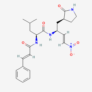 (2S)-4-methyl-N-[(E,2S)-4-nitro-1-[(3S)-2-oxopyrrolidin-3-yl]but-3-en-2-yl]-2-[[(E)-3-phenylprop-2-enoyl]amino]pentanamide