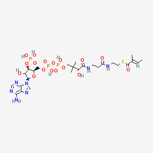 molecular formula C26H42N7O17P3S B12377233 S-[2-[3-[[(2R)-4-[[[(2R,3R,5R)-5-(6-aminopurin-9-yl)-4-hydroxy-3-phosphonooxyoxolan-2-yl]methoxy-hydroxyphosphoryl]oxy-hydroxyphosphoryl]oxy-2-hydroxy-3,3-dimethylbutanoyl]amino]propanoylamino]ethyl] (E)-2-methylbut-2-enethioate 