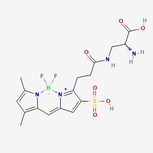 molecular formula C17H21BF2N4O6S B12377283 sBADA 