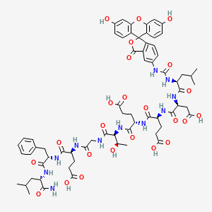 FITC-labelled Keap1-Nrf2 probe