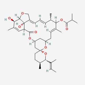 molecular formula C38H54O9 B1237750 [(4S,5'S,6R,6'S,8R,10E,13S,14E,16E,20R,21R,24S)-6'-[(E)-But-2-en-2-yl]-21,24-dihydroxy-5',11,13,22-tetramethyl-2-oxospiro[3,7,19-trioxatetracyclo[15.6.1.14,8.020,24]pentacosa-10,14,16,22-tetraene-6,2'-oxane]-12-yl] 2-methylpropanoate CAS No. 127346-86-5