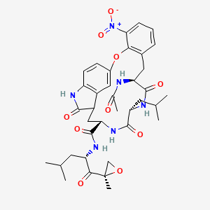 20S Proteasome-IN-5