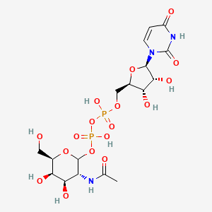 UDP-N-acetyl-D-galactosamine