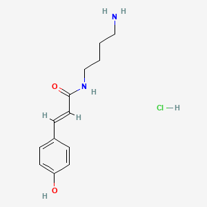 molecular formula C13H19ClN2O2 B1237789 Mono-p-coumarylputrescine CAS No. 80244-08-2
