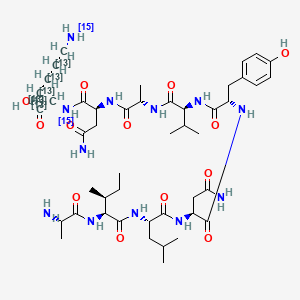 molecular formula C46H76N12O13 B12378094 (2S)-2-[[(2S)-4-amino-2-[[(2S)-2-[[(2S)-2-[[(2S)-2-[[(2S)-4-amino-2-[[(2S)-2-[[(2S,3S)-2-[[(2S)-2-aminopropanoyl]amino]-3-methylpentanoyl]amino]-4-methylpentanoyl]amino]-4-oxobutanoyl]amino]-3-(4-hydroxyphenyl)propanoyl]amino]-3-methylbutanoyl]amino]propanoyl]amino]-4-oxobutanoyl](15N)amino]-6-(15N)azanyl(1,2,3,4,5,6-13C6)hexanoic acid 