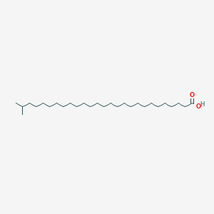 molecular formula C28H56O2 B1237824 Isomontanic acid CAS No. 5638-08-4