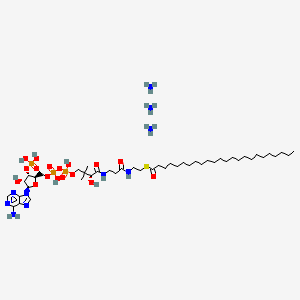 molecular formula C45H91N10O17P3S B12378359 S-[2-[3-[[(2R)-4-[[[(2R,3S,4R,5R)-5-(6-aminopurin-9-yl)-4-hydroxy-3-phosphonooxyoxolan-2-yl]methoxy-hydroxyphosphoryl]oxy-hydroxyphosphoryl]oxy-2-hydroxy-3,3-dimethylbutanoyl]amino]propanoylamino]ethyl] tetracosanethioate;azane 