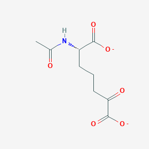 molecular formula C9H11NO6-2 B1237844 L-2-Acetamido-6-oxoheptanedioate 