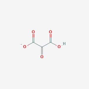 molecular formula C3HO5- B1237847 草酰丙二酸(1-) 