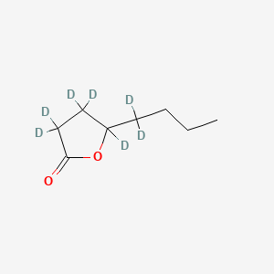 molecular formula C8H14O2 B12378815 5-Butyldihydrofuran-2(3H)-one-d7 