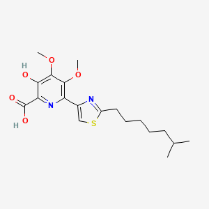 molecular formula C19H26N2O5S B12379024 Catenulopyrizomicin A 