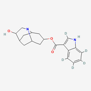 molecular formula C19H22N2O3 B12379042 Hydrodolasetron-d5 