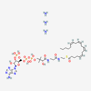 molecular formula C41H75N10O17P3S B12379492 Arachidonoyl CoA (triammonium) 