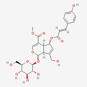 molecular formula C26H30O13 B12379598 6-O-p-Coumaroyl scandoside methyl ester 