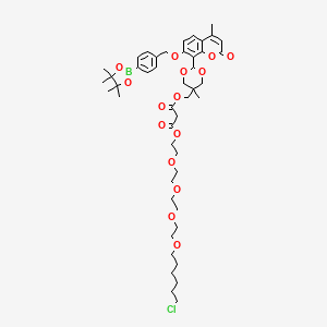 molecular formula C46H64BClO15 B12379963 1-O-[2-[2-[2-[2-(6-chlorohexoxy)ethoxy]ethoxy]ethoxy]ethyl] 3-O-[[5-methyl-2-[4-methyl-2-oxo-7-[[4-(4,4,5,5-tetramethyl-1,3,2-dioxaborolan-2-yl)phenyl]methoxy]chromen-8-yl]-1,3-dioxan-5-yl]methyl] propanedioate 