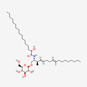 molecular formula C42H79NO8 B12380361 Ophiocordylongiiside A 