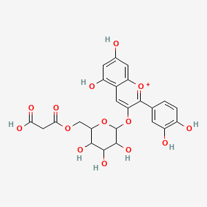 molecular formula C24H23O14+ B12380504 Cyanidin 3-malonylglucoside CAS No. 94977-38-5