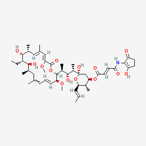 molecular formula C48H71NO14 B12380565 [(2R,4R,5S,6R)-2-[(2S,3R,4S)-4-[(2R,3S,4E,9R,10S,11S,12R,13R,14E,16Z)-11-ethyl-10,12-dihydroxy-3,17-dimethoxy-7,9,13,15-tetramethyl-18-oxo-1-oxacyclooctadeca-4,6,14,16-tetraen-2-yl]-3-hydroxypentan-2-yl]-2-hydroxy-5-methyl-6-[(E)-prop-1-enyl]oxan-4-yl] (E)-4-[(2-hydroxy-5-oxocyclopenten-1-yl)amino]-4-oxobut-2-enoate 