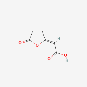 trans-4-Carboxymethylenebut-2-en-4-olide