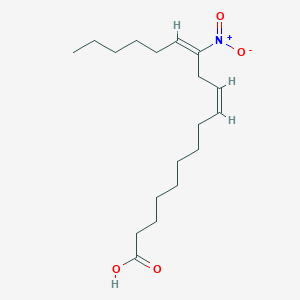 molecular formula C18H31NO4 B1238063 12-Nitro-9Z,12Z-octadecadienoic acid 