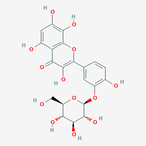 molecular formula C21H20O13 B12380745 3,5,7,8-tetrahydroxy-2-[4-hydroxy-3-[(2S,3R,4S,5S,6R)-3,4,5-trihydroxy-6-(hydroxymethyl)oxan-2-yl]oxyphenyl]chromen-4-one 