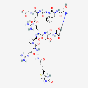 molecular formula C58H91N19O19S B12380859 Biotin-Crosstide 