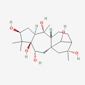molecular formula C20H34O6 B1238093 (1S,3R,4R,6S,8S,9R,10R,14R)-5,5,9,14-tetramethyltetracyclo[11.2.1.01,10.04,8]hexadecane-3,4,6,9,14,16-hexol 