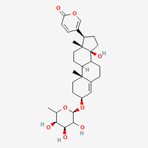 molecular formula C30H42O8 B1238160 5-[(3S,10R,13R,14S,17R)-14-hydroxy-10,13-dimethyl-3-[(2R,4S,5R)-3,4,5-trihydroxy-6-methyloxan-2-yl]oxy-1,2,3,6,7,8,9,11,12,15,16,17-dodecahydrocyclopenta[a]phenanthren-17-yl]pyran-2-one 