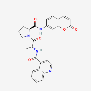 N-[(2R)-1-[(2S)-2-[(4-methyl-2-oxochromen-7-yl)carbamoyl]pyrrolidin-1-yl]-1-oxopropan-2-yl]quinoline-4-carboxamide