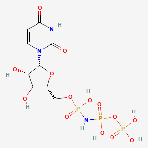 molecular formula C9H16N3O14P3 B12381768 Uridine, 5'-(P,P',P'',P''-tetrahydrogen imidotriphosphate) 