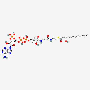 S-(3-Hydroxydodecanoate)-CoA