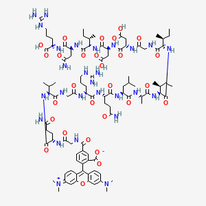 molecular formula C97H145N27O28 B12381910 Bak BH3 (72-87), TAMRA-labeled 