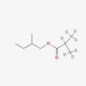 molecular formula C9H18O2 B12381960 2-Methylbutyl isobutyrate-d7 