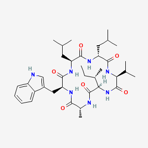 molecular formula C37H57N7O6 B12382041 Baceridin 