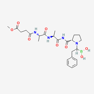 molecular formula C24H35BN4O8 B1238212 Maap-borof CAS No. 97590-10-8