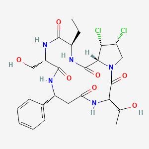 molecular formula C25H33Cl2N5O7 B12382139 (3S,7R,10S,13R,16R,17S,18R)-17,18-dichloro-13-ethyl-3-(1-hydroxyethyl)-10-(hydroxymethyl)-7-phenyl-1,4,8,11,14-pentazabicyclo[14.3.0]nonadecane-2,5,9,12,15-pentone 