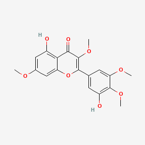 molecular formula C19H18O8 B1238216 5-Hydroxy-2-(3-hydroxy-4,5-dimethoxyphenyl)-3,7-dimethoxy-4H-1-benzopyran-4-one CAS No. 14290-57-4