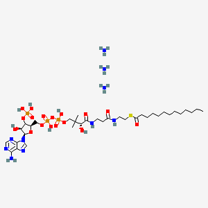 molecular formula C34H69N10O17P3S B12382247 Tridecanoyl-CoA (triammonium) 