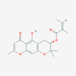 molecular formula C20H22O6 B12382294 3'-O-Angeloylhamaudol 