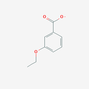 molecular formula C9H9O3- B1238238 3-Ethoxybenzoate 