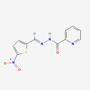 molecular formula C11H8N4O3S B1238247 N'-[(E)-(5-nitrothiophen-2-yl)methylidene]pyridine-2-carbohydrazide 