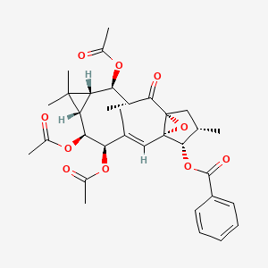 Ingol 7,8,12-triacetate 3-phenylacetate